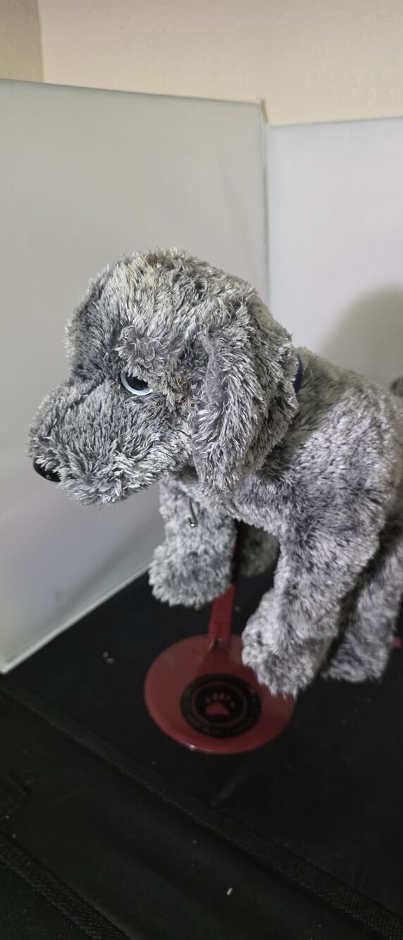 TY Classic Mercury Silver Dog Plush Stuffed Animal Collar TySilk 14 Inch 2003 Z1